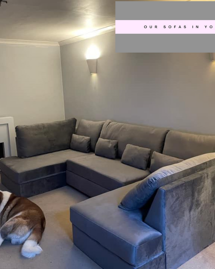 Stylish U-shape sofa bed in a modern living room with a dog resting on the floor.